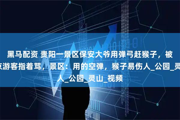 黑马配资 贵阳一景区保安大爷用弹弓赶猴子,被自称南京游客指着骂,景区:用的空弹,猴子易伤人_公园_灵山_视频