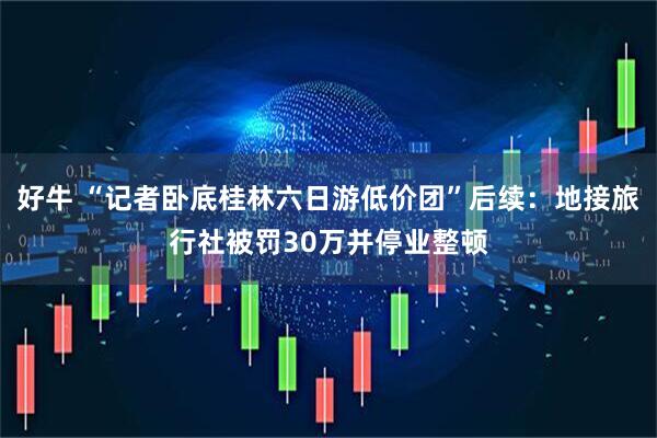 好牛 “记者卧底桂林六日游低价团”后续：地接旅行社被罚30万并停业整顿