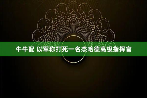 牛牛配 以军称打死一名杰哈德高级指挥官