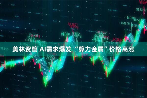 美林资管 AI需求爆发 “算力金属”价格高涨